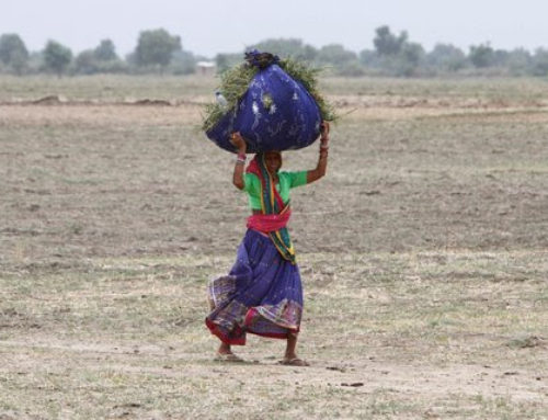 #FIELDSTORIES: No Recognition, No Respite – Story of a Woman Farmer